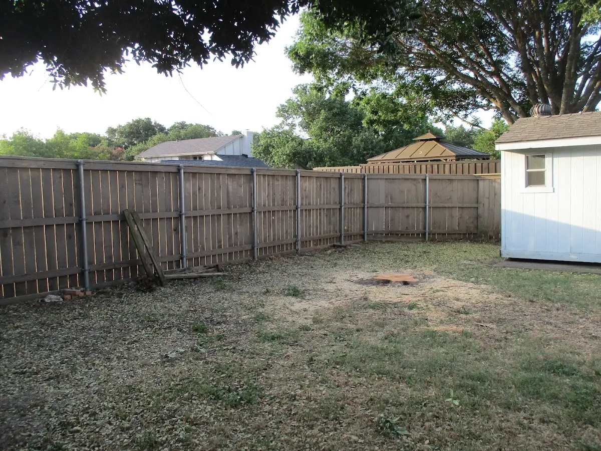 Cleared yard after professional tree removal in Reidville